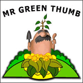 Mr Greenthumb